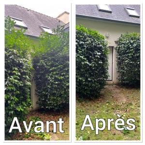 Entretien espace vert